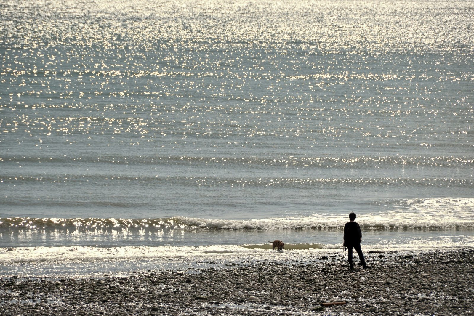 man in black jacket walking on beach during daytime